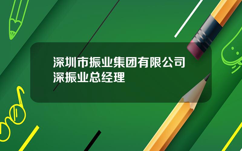 深圳市振业集团有限公司 深振业总经理